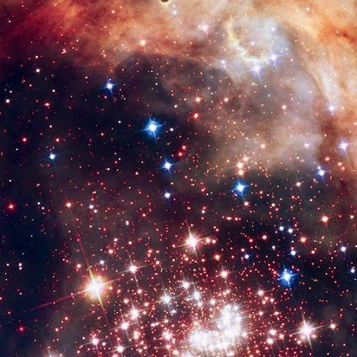 Yarnfloozy x Loopine Advent 2026 // Notions Only